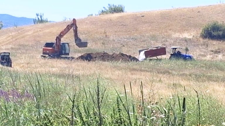 Ново жариште на болеста овчи сипаници кај стадо овци во селото Соколарци